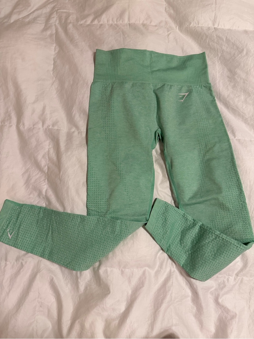 Gymshark Seamless Leggings in Mint